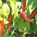 계천배수장 이미지