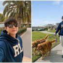 신동-116 이미지