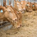 이수병원 이미지