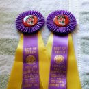 Blue dog club 이미지