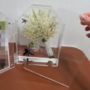 경기도 수원시 장안구 경수대로976번길 | [본식부케] 수원 본식부케 +부케 말리기+리부케까지 피오르센트 내돈내산 후기