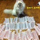 순실장 Daum카페