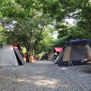 계곡과느티나무 캠핑장 이미지