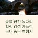 진천역사 보물찾기 이미지