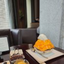 현대코너 | 25.06.16 신라호텔 망고빙수, 수영장, 코너디럭스 후기(현대카드 그린, 퍼플 바우처 사용)