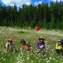 말렌 Daum카페