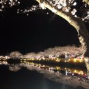 새올리아필라테스 - 구미시 신시로 158 | 새올리아필라테스