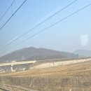 단월어린이집 | 3월🤍