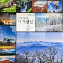 백두PC | 정선1박2일(가리왕산 케이블카, 백두대간생태수목원, 옥산장 돌이야기, 정선레일바이크, 수리취떡, 대성...