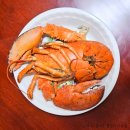 캐나다 자숙 랍스터 1kg 홈쇼핑 구입 냉동 랍스타 찌는법 해동 손질 찌기 보관 방법