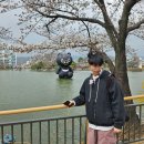 소도목련아파트 | 3월 말 꽃놀이 후기(김천-대구)