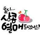 딸기다방 이미지