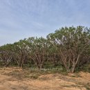 반송농장 이미지