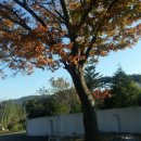 일림산권역