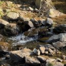 독포유 | 감성캠핑장 가평 나아정 캠핑장 후기 &lt;애견동반가능&gt; / 가평 캠핑장 추천