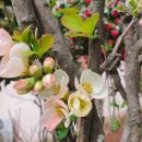 근화여자고등학교 이미지