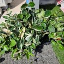 빅스토아 이미지