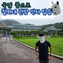 세종 팜 제약 | 청와대 개방 공개 관람 막차 탑승 후기