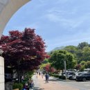 GS25 마니산점 이미지