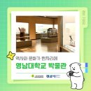 이주대학교 도구박물관 | 역사와 문화가 한자리에! 영남대학교 박물관 🏛️