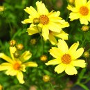 우리파크 이미지