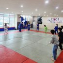 용인대 현풍 유도&주짓수 네이버블로그