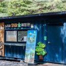 느티골 유아숲체험원 이미지