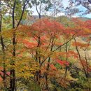 부연동가마소펜션 이미지