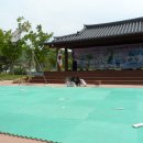 직지태권도체육관 Daum카페