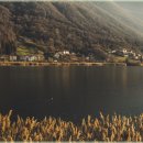 새싹의 아침 이미지