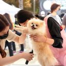 서리풀동물병원 이미지