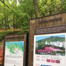 철쭉동산 티스토리