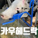고정축산 | 축산기자개 추천 소머리 고정장치 카우헤드락 후기 (내돈내산)