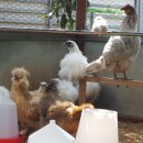 남은농장 이미지