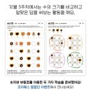 매스프렌즈 이미지