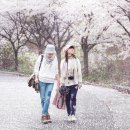 [4. 21 일요벚꽃걷기] 영종도 건강백년길, 마지막 벚꽃엔딩 휘날레를 위하여~~ 이미지