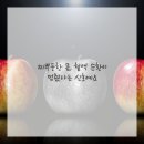 순환의바람으로부터 이미지