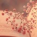 최*옥 - 안양시 만안구 병목안로110번길 | 최*옥