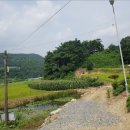 백운면 2062 이미지