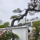 골드카페 | 동탄 카페 추천 분위기 좋은 대형카페 골드헤겔 베이커리카페 후기