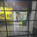 울산쥬니어소아치과의원 | 울산쥬니어소아치과, 아이들을 위한 쾌적한 환경 관리