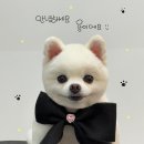 멍발소 하우스 이미지