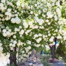 도원운학로 이미지