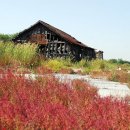 갯골생태공원(소금창고) 이미지