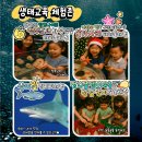 크리스마스 페스티벌 | [공지] 아쿠아리움, 파충류 만나다 in 크리스마스 페스티벌 후기