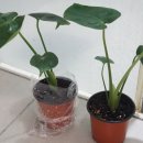 신영플라스틱 이미지