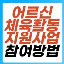 사각지대 지원사업 프로그램 | 어르신 체육활동 지원사업 신청 방법, 자격 요건과 지역별 운영하는 프로그램 참여방법
