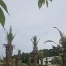 산달펜션