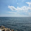 진경이네 | 속초 현지인맛집:: 외홍치항 '진경이네횟집'내돈내산 솔직후기