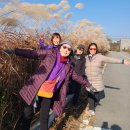 디엠지스테이 이미지